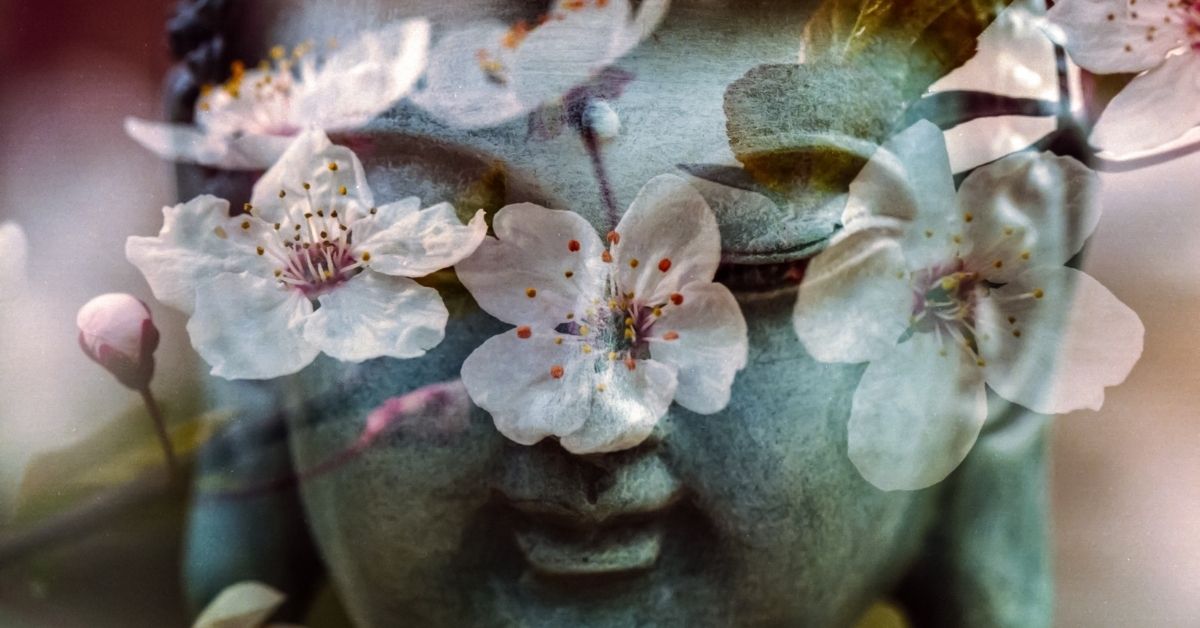 buddha blossoms