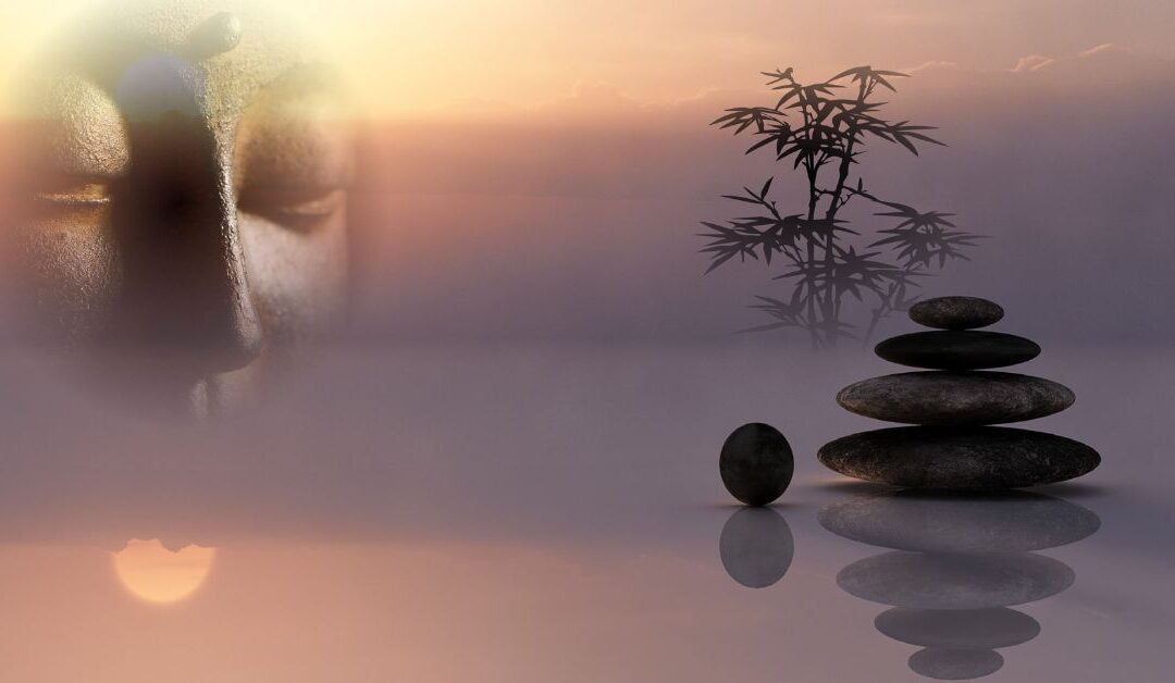 Beginner’s Mind