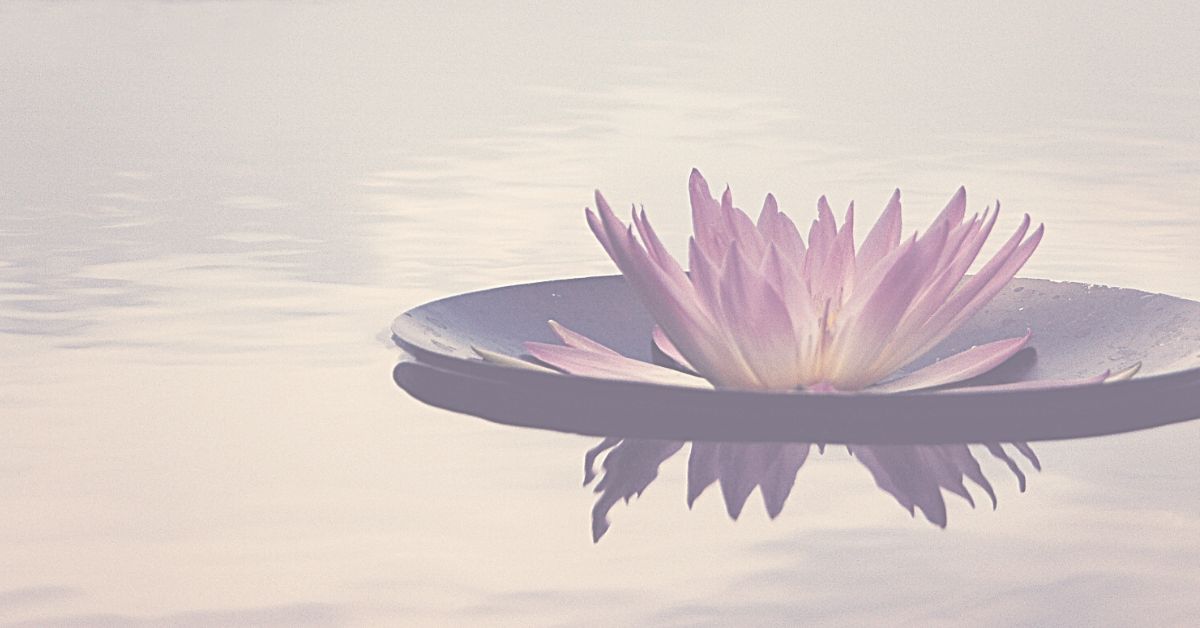 lotus